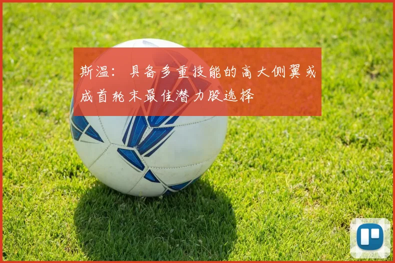 斯温：具备多重技能的高大侧翼或成首轮末最佳潜力股选择